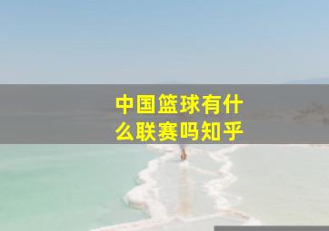 中国篮球有什么联赛吗知乎