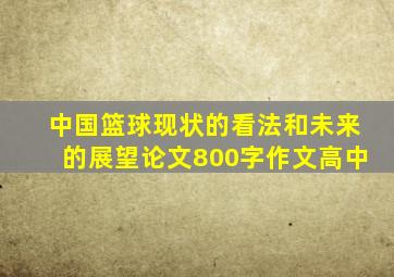 中国篮球现状的看法和未来的展望论文800字作文高中