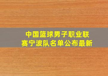 中国篮球男子职业联赛宁波队名单公布最新