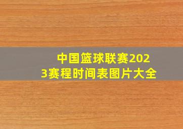 中国篮球联赛2023赛程时间表图片大全