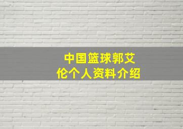 中国篮球郭艾伦个人资料介绍