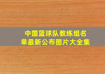 中国篮球队教练组名单最新公布图片大全集