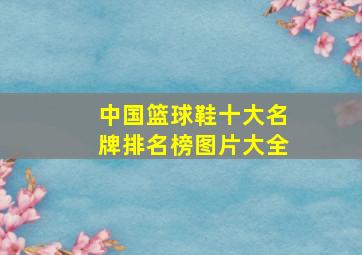 中国篮球鞋十大名牌排名榜图片大全