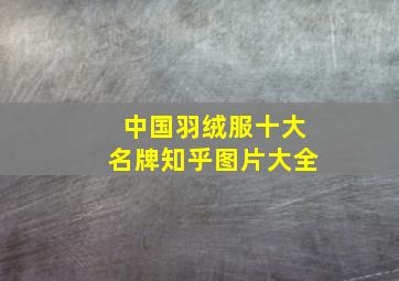 中国羽绒服十大名牌知乎图片大全