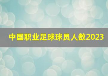 中国职业足球球员人数2023