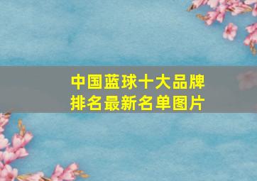 中国蓝球十大品牌排名最新名单图片