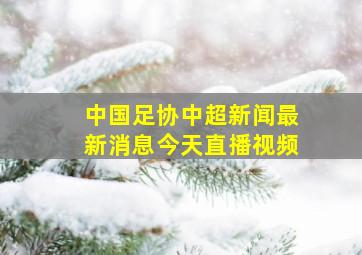 中国足协中超新闻最新消息今天直播视频