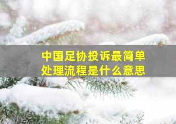 中国足协投诉最简单处理流程是什么意思