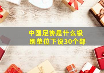 中国足协是什么级别单位下设30个部