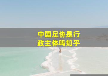 中国足协是行政主体吗知乎