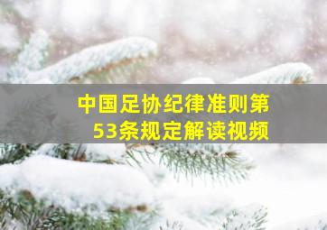 中国足协纪律准则第53条规定解读视频