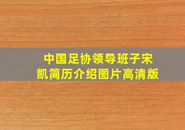 中国足协领导班子宋凯简历介绍图片高清版