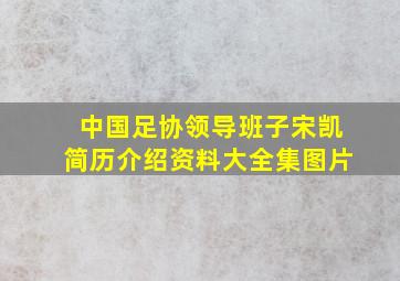 中国足协领导班子宋凯简历介绍资料大全集图片