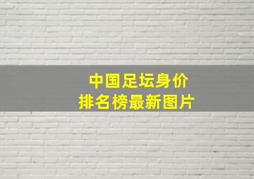 中国足坛身价排名榜最新图片