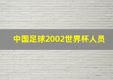 中国足球2002世界杯人员