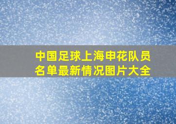 中国足球上海申花队员名单最新情况图片大全