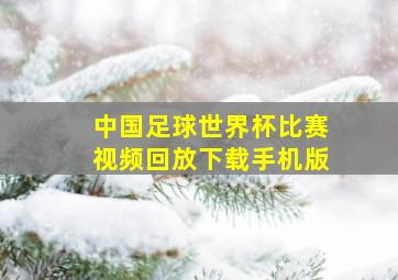 中国足球世界杯比赛视频回放下载手机版