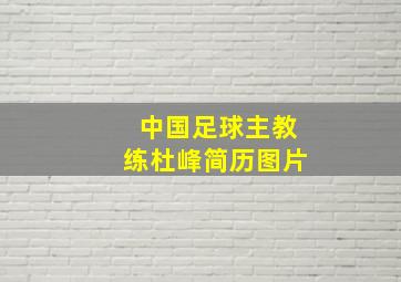 中国足球主教练杜峰简历图片