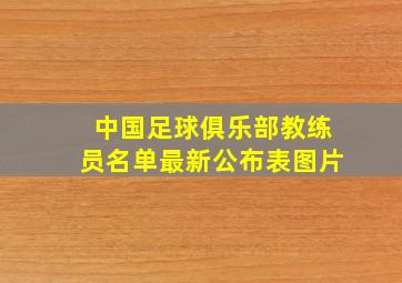 中国足球俱乐部教练员名单最新公布表图片