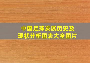 中国足球发展历史及现状分析图表大全图片