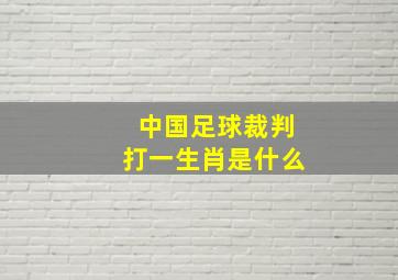 中国足球裁判打一生肖是什么