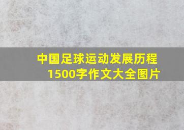 中国足球运动发展历程1500字作文大全图片