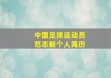 中国足球运动员范志毅个人简历