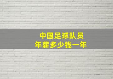 中国足球队员年薪多少钱一年