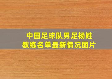 中国足球队男足杨姓教练名单最新情况图片