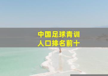 中国足球青训人口排名前十