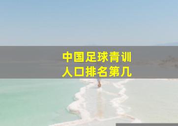 中国足球青训人口排名第几