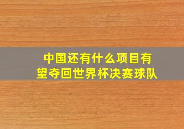 中国还有什么项目有望夺回世界杯决赛球队