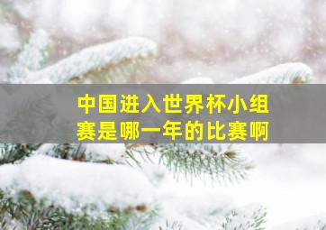 中国进入世界杯小组赛是哪一年的比赛啊