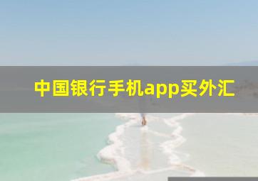 中国银行手机app买外汇