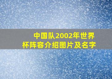 中国队2002年世界杯阵容介绍图片及名字