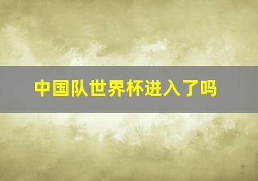 中国队世界杯进入了吗