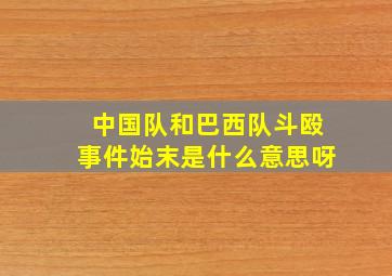 中国队和巴西队斗殴事件始末是什么意思呀