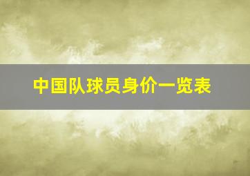 中国队球员身价一览表