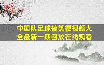 中国队足球搞笑梗视频大全最新一期回放在线观看