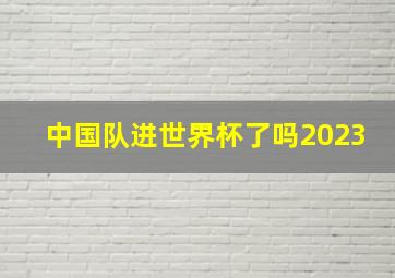 中国队进世界杯了吗2023