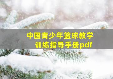 中国青少年篮球教学训练指导手册pdf