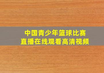 中国青少年篮球比赛直播在线观看高清视频