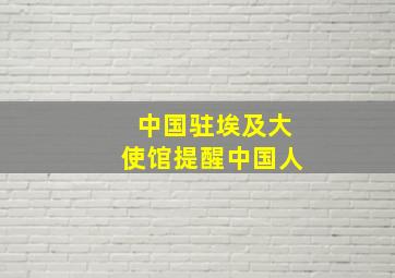 中国驻埃及大使馆提醒中国人