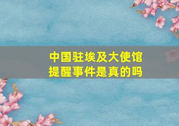 中国驻埃及大使馆提醒事件是真的吗