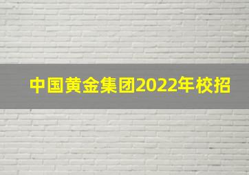 中国黄金集团2022年校招