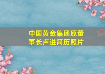 中国黄金集团原董事长卢进简历照片