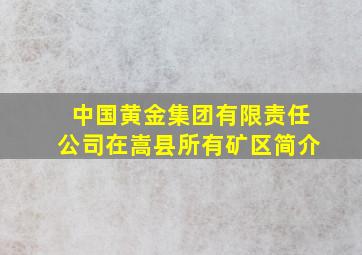 中国黄金集团有限责任公司在嵩县所有矿区简介