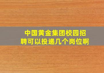 中国黄金集团校园招聘可以投递几个岗位啊