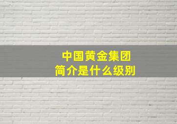 中国黄金集团简介是什么级别