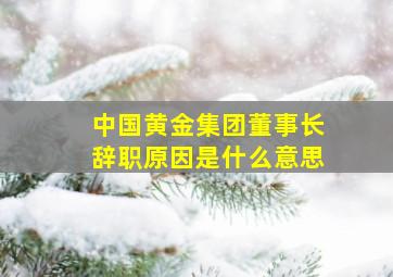 中国黄金集团董事长辞职原因是什么意思